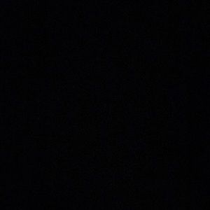 Meet your Posher, Wyatt